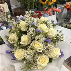 purple 01-02-2026 11 25 09